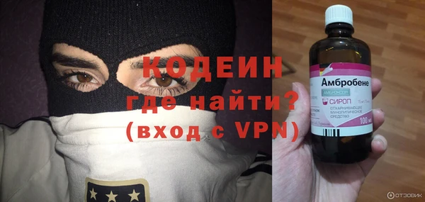 крисы Абаза