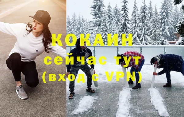 крисы Абаза