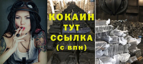 крисы Абаза