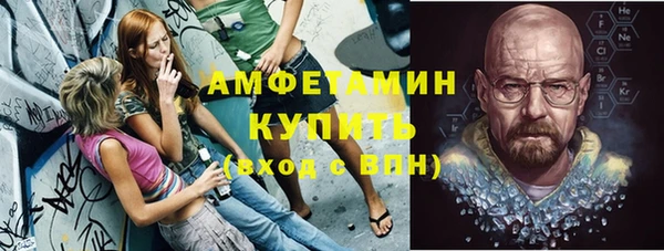 крисы Абаза