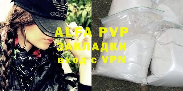 крисы Абаза