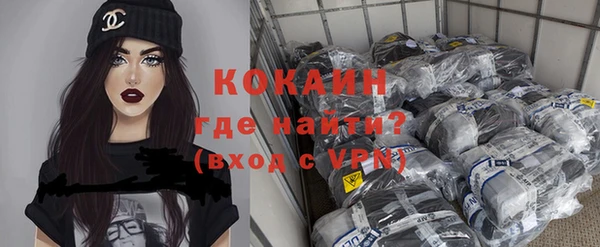 крисы Абаза