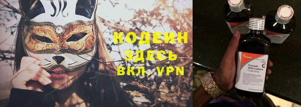 крисы Абаза