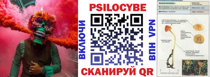 kraken маркетплейс  Кириллов  Галлюциногенные грибы MAGIC MUSHROOMS  где найти наркотики 
